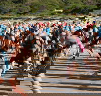 Port Stephens Triathlon Festival - Accommodation Cairns