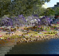 Shoalhaven River Festival - Accommodation Cairns