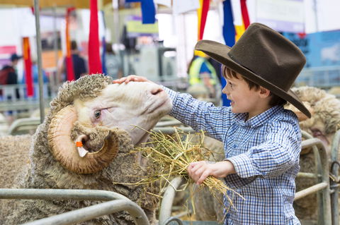 Sydney Royal Easter Show - Accommodation Cairns 0