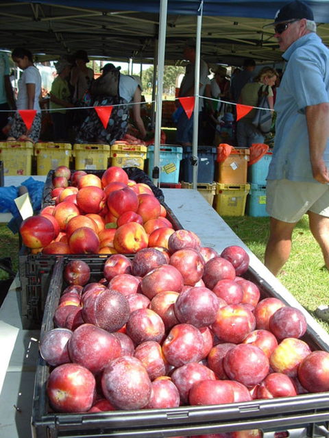 The Farmers Market On Manning - Accommodation Cairns 0