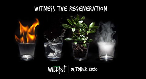 Wildfest - Annual Festival - Accommodation Cairns 0