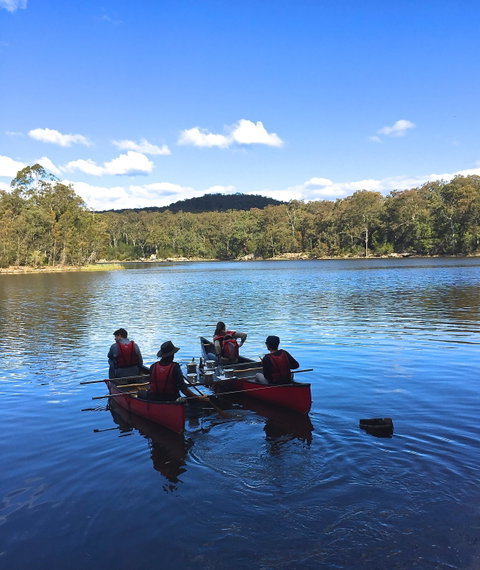 Wildfest - Annual Festival - Accommodation Cairns 2