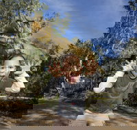 Zoorassic at Werribee Open Range Zoo. - Accommodation Cairns