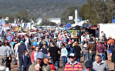 AgQuip - Accommodation Cairns 0