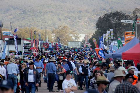 AgQuip - Accommodation Cairns 1