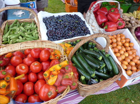 Armidale Farmers' Market - Accommodation Cairns 1