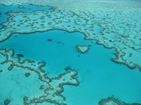 Australian Superyacht Rendezvous 2020 - Great Barrier Reef Edition - Accommodation Cairns 2