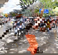 Australian National Busking Championships - Accommodation Cairns