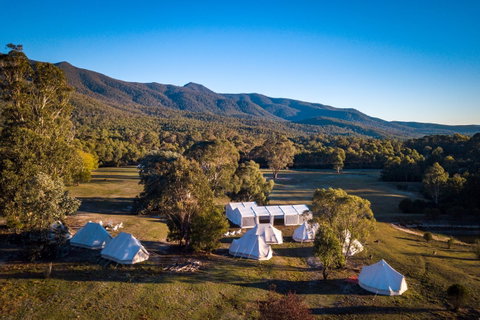 A Wild Night Out - Spring - Accommodation Cairns 5