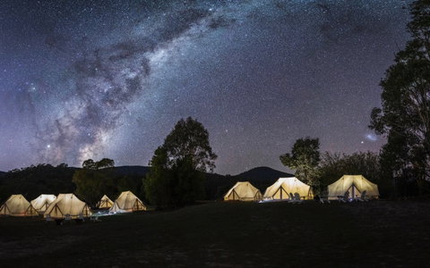 A Wild Night Out - Spring - Accommodation Cairns 6