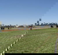Balranald Races -Derby Day - Accommodation Cairns
