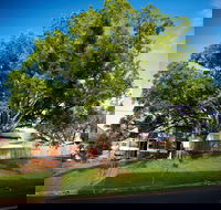 Big Bat Wildlife and Eco Festival - Accommodation Cairns