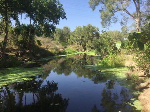 Conservation Volunteers Australia Townsville - Creekwatch - Accommodation Cairns 0