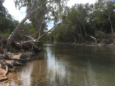 Conservation Volunteers Australia Townsville - Creekwatch - Accommodation Cairns 2