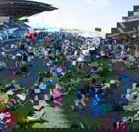 Craft Beer Sunshine Coast Festival - Accommodation Cairns