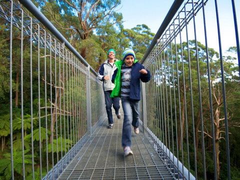 Get Back To Nature These July School Holidays! - Accommodation Cairns 0