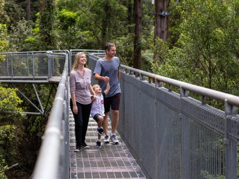 Get Back To Nature These July School Holidays! - Accommodation Cairns 1