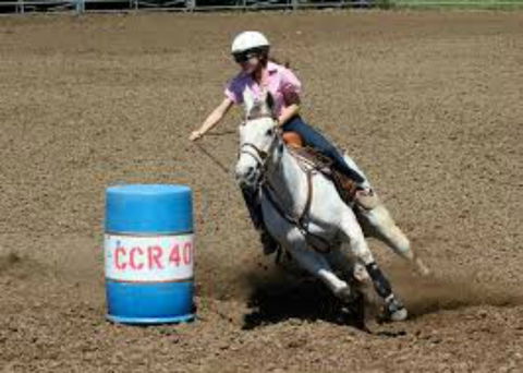 Glen William Gymkhana - Accommodation Cairns 2