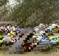 Grazing Down the Lachlan - Accommodation Cairns