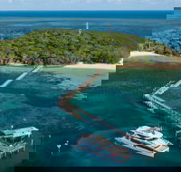 Great Adventures Green Island Ocean Swim - Accommodation Cairns