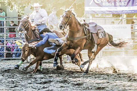 Gundagai Rodeo - Accommodation Cairns 0