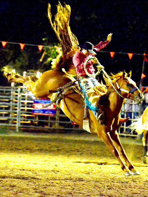 Gundagai Rodeo - Accommodation Cairns 1