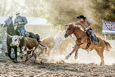 Gundagai Rodeo - Accommodation Cairns 2