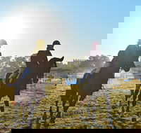 Gunnedah Showjumping Festival - Accommodation Cairns