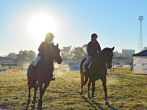 Gunnedah Showjumping Festival - Accommodation Cairns 0