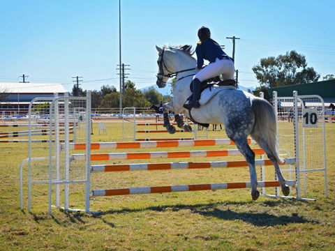 Gunnedah Showjumping Festival - Accommodation Cairns 1