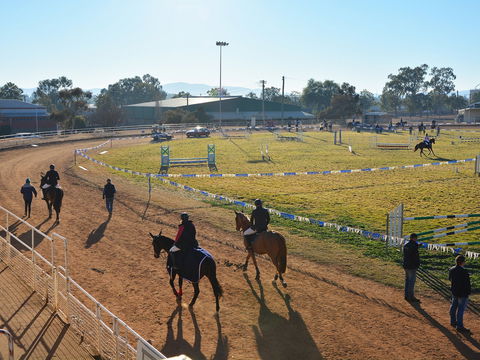 Gunnedah Showjumping Festival - Accommodation Cairns 2
