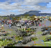 Hobart Showground Sunday Market - Weekly - Accommodation Cairns