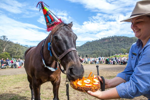 Horses Birthday Festival - Accommodation Cairns 0