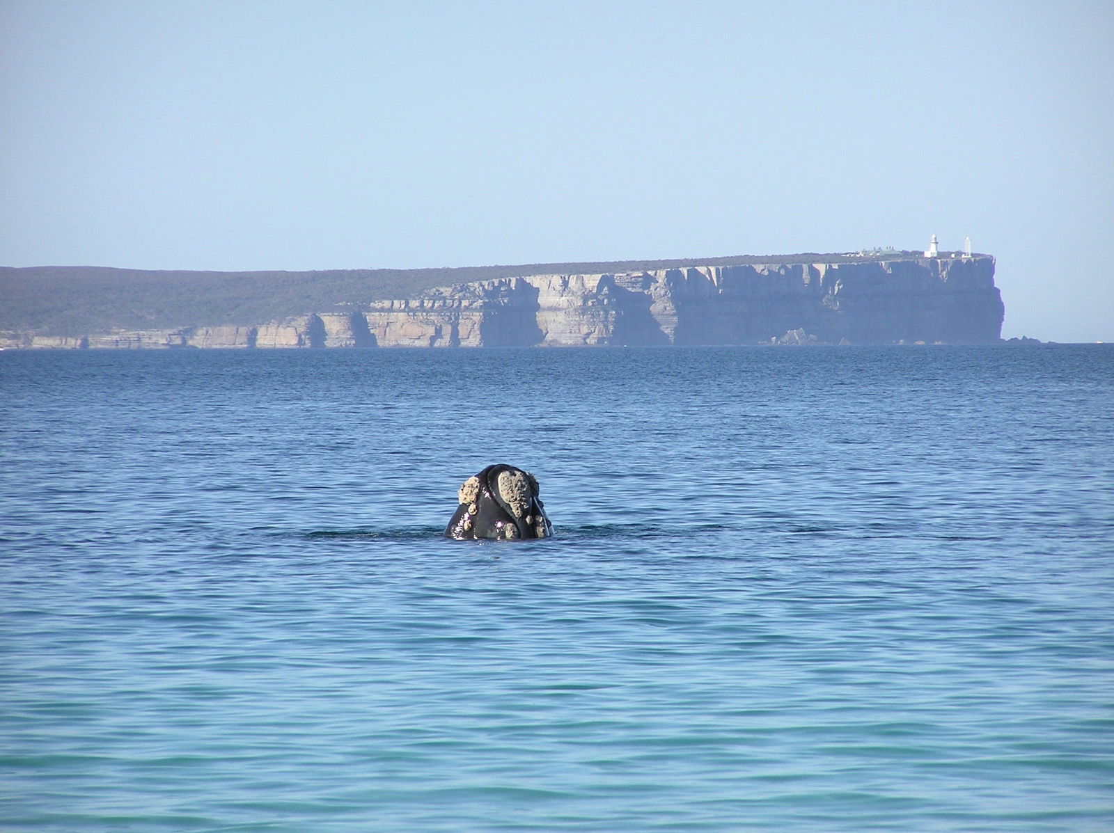 Huskisson NSW Accommodation Cairns