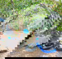 Jungle Love Festival - Accommodation Cairns
