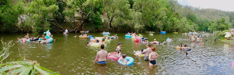 Jungle Love Festival - Accommodation Cairns 1