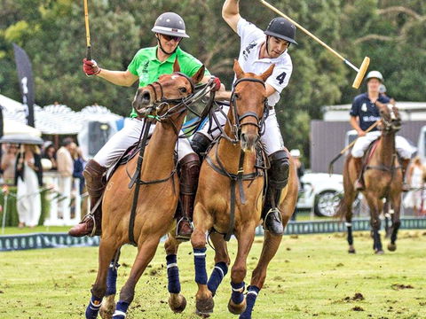 Land Rover Polo In The City - Accommodation Cairns 0