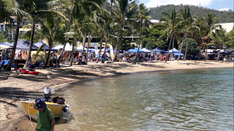 Lions Airlie Beach Community Markets - Accommodation Cairns 0