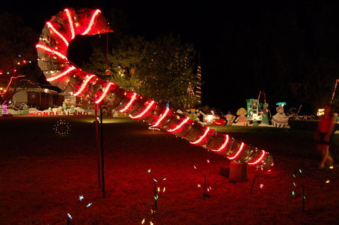 Loxton Christmas Lights Festival - Accommodation Cairns 2