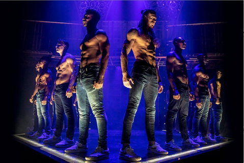 MAGIC MIKE LIVE - Accommodation Cairns 0