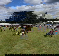 Majors Creek Festival - Accommodation Cairns