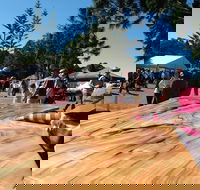Maleny Wood Expo From Seed to Fine Furniture - Accommodation Cairns
