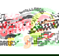 McDonalds Illawarra Santa Fest Carols Wollongong - Accommodation Cairns