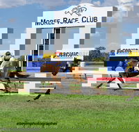 Moree Race Club TAB Race Day - Accommodation Cairns
