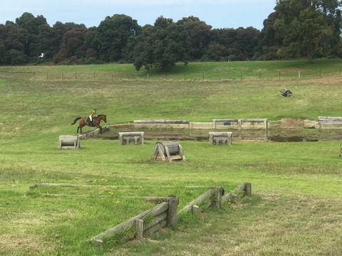 Mount Gambier And District Pony Club Horse Trials 2020 - Accommodation Cairns 0