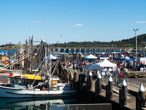 Ocean Harvest Festival - Accommodation Cairns 0