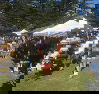 Palm Beach Market - Accommodation Cairns