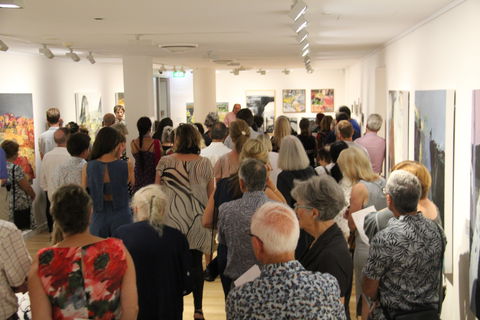 'Redland Art Awards 2020' Exhibition Opening - Accommodation Cairns 0