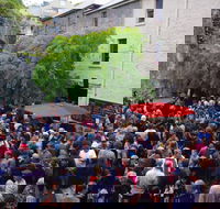 Rektango - Accommodation Cairns