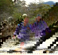 Serra Terror - Accommodation Cairns